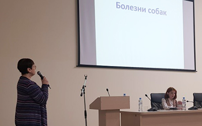 акция в защиту животных