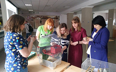 Викторина «Хвостики»