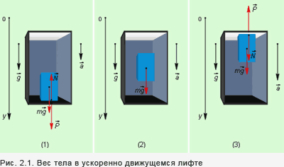 Фрагмент информационного модуля по физике