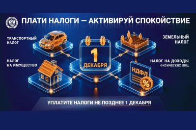 Студенты